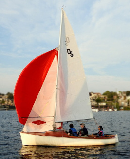 Spinnaker_325.jpg