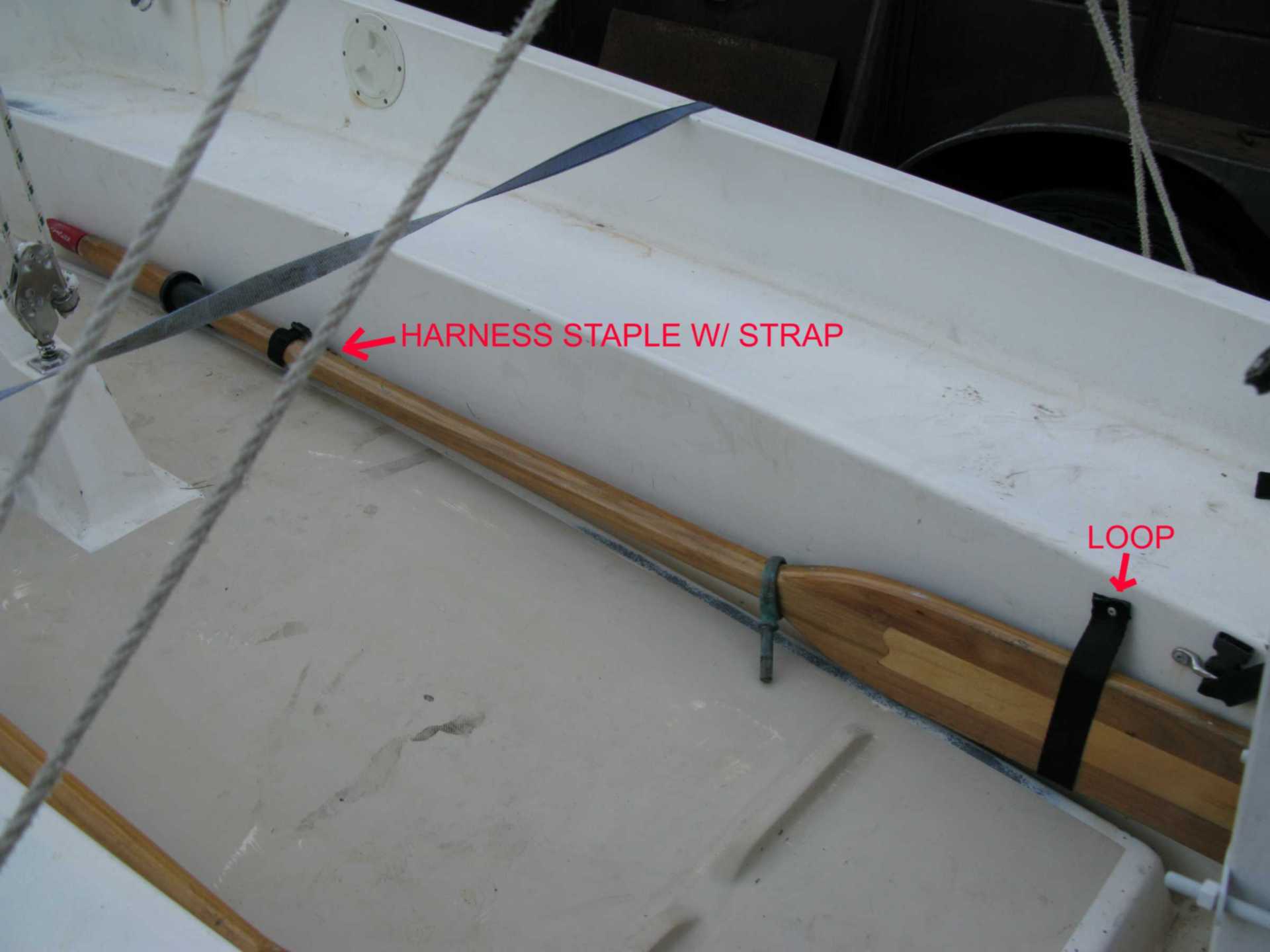 New Oar Storage.jpg